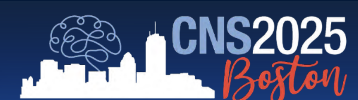 A graphic of a cityscape with a brain above it and the text CNS 2025 Boston.